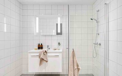 Do Shower Filters Help Protect Your Plumbing?